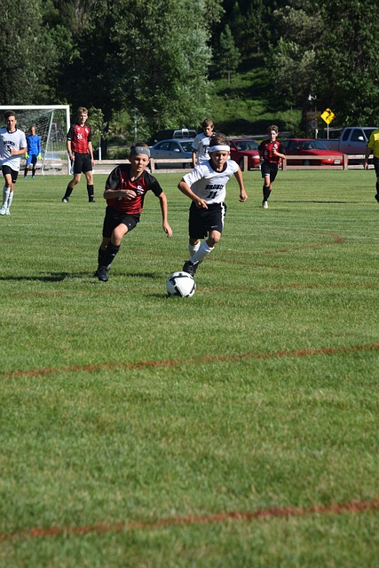 竞争中具备 竞争中具备