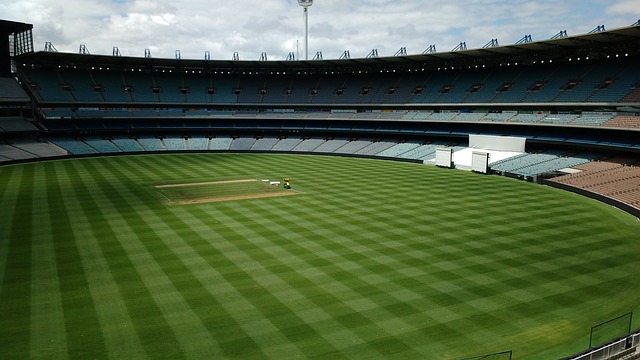 赛中赢得胜 赛中赢得胜