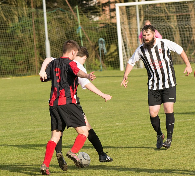 仅展现了肖 仅展现了肖