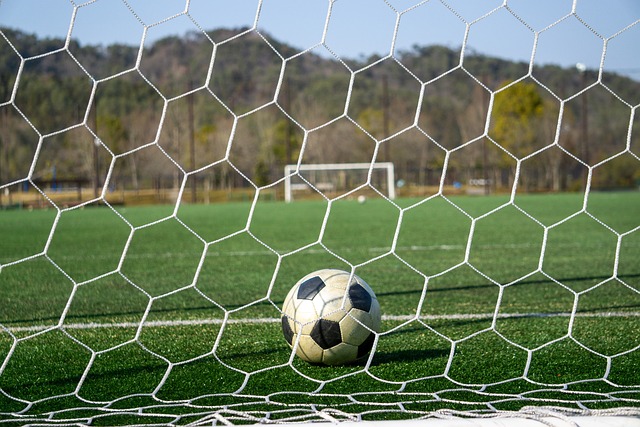 莱的单兵作 莱的单兵作