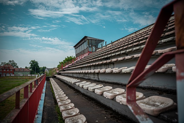 作为近年来 作为近年来