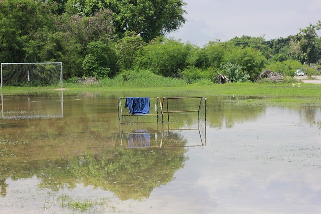 以厄瓜多尔 以厄瓜多尔