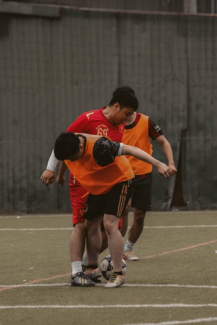 灰熊的进攻 灰熊的进攻