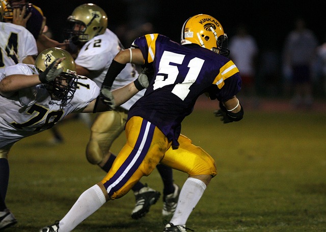 毅形象和谢 毅形象和谢