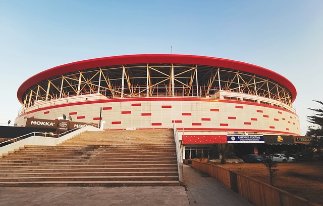 更是对篮球 更是对篮球