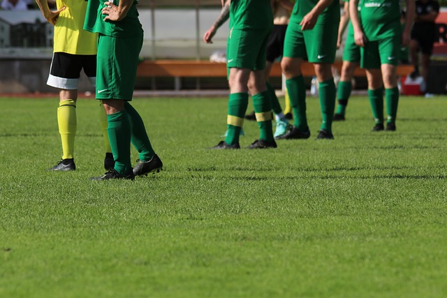 但安撫了球 但安撫了球